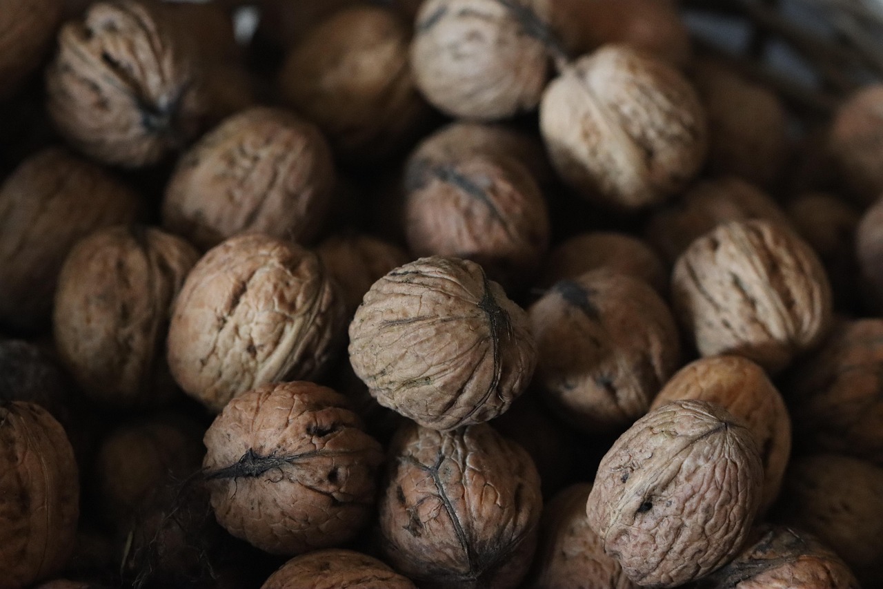 entdecken sie die welt der superfoods! erfahren sie, wie diese nährstoffreichen lebensmittel ihre gesundheit fördern, energie spenden und das wohlbefinden steigern können. tauchen sie ein in köstliche rezepte und wertvolle tipps für eine ausgewogene ernährung.