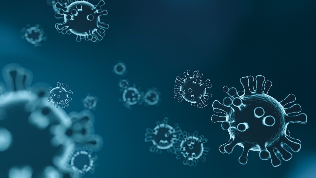 erfahren sie, wie das immunsystem funktioniert, warum es wichtig ist und wie sie ihre abwehrkräfte natürlich stärken können. entdecken sie tipps und informationen für ein starkes immunsystem.