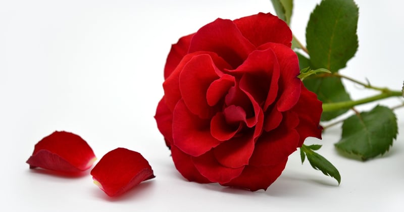 Überraschende Hochzeitstag Ideen für mehr Romantik und Nähe