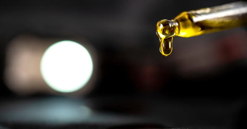 CBD Samen kaufen in Deutschland: der rechtliche Rahmen
